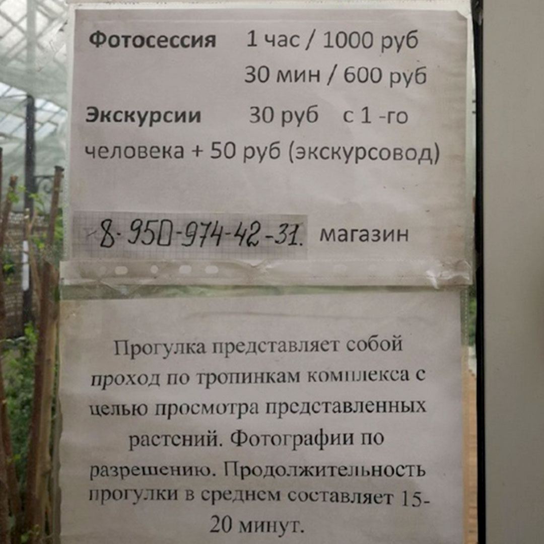 Оранжерея В Красноярске Обороны 21 Магазин