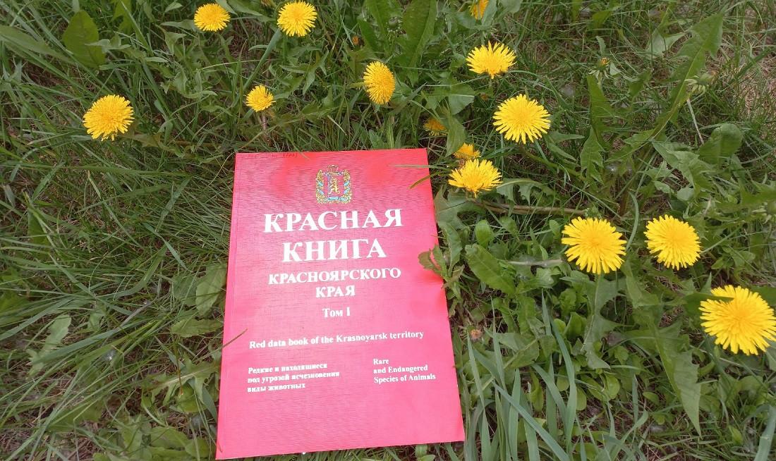 Книга красноярского края