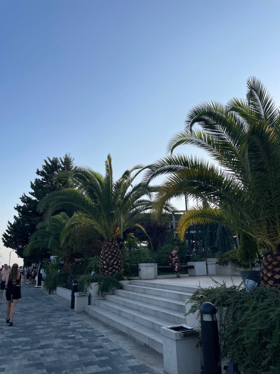 photo_5399834164334814842_y