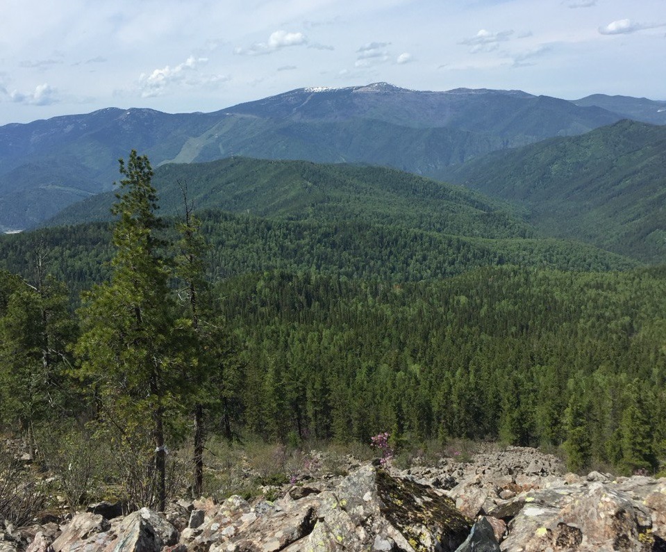 photo_5289852666203206552_y