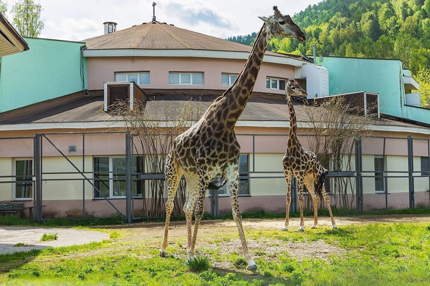 photo_5294450115160962127_y-1