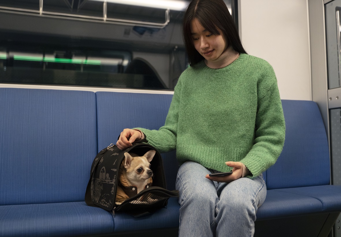 woman-carrying-her-pet-subway