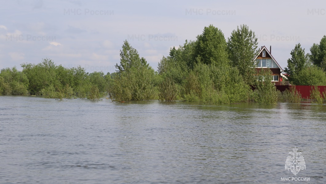 3a55475aa95c33b01a1b83afb932ea77__2000x2000