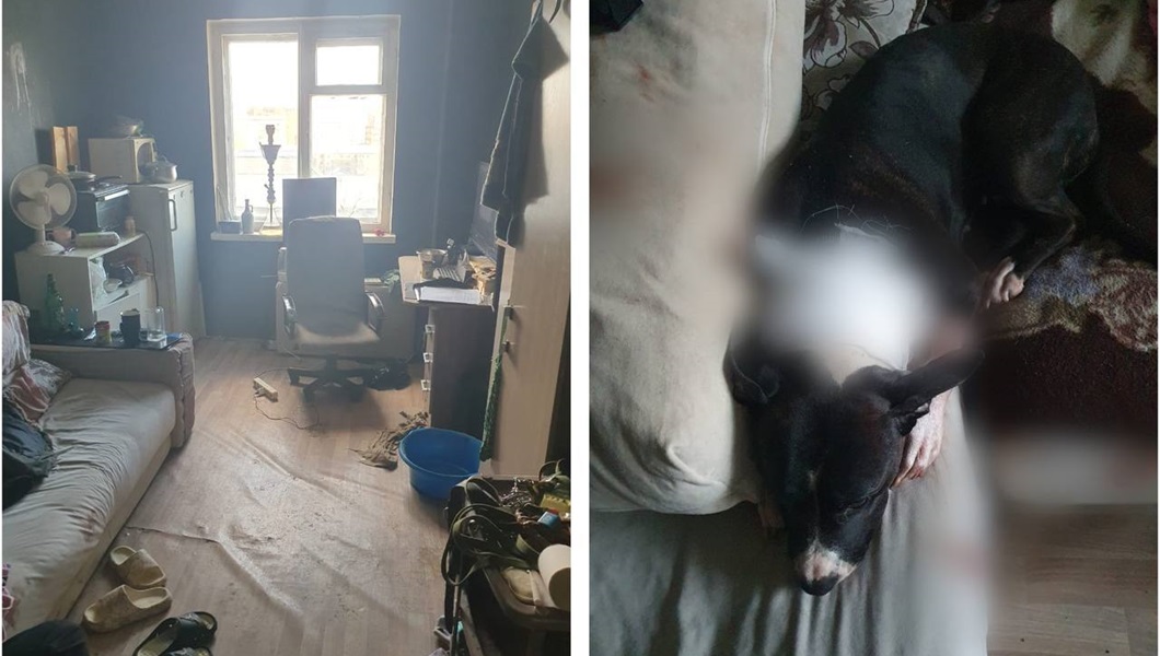 834f704d-32df-4bc0-918f-df44d7e3552d