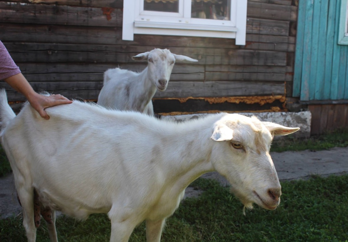 photo_5287773253491881965_y