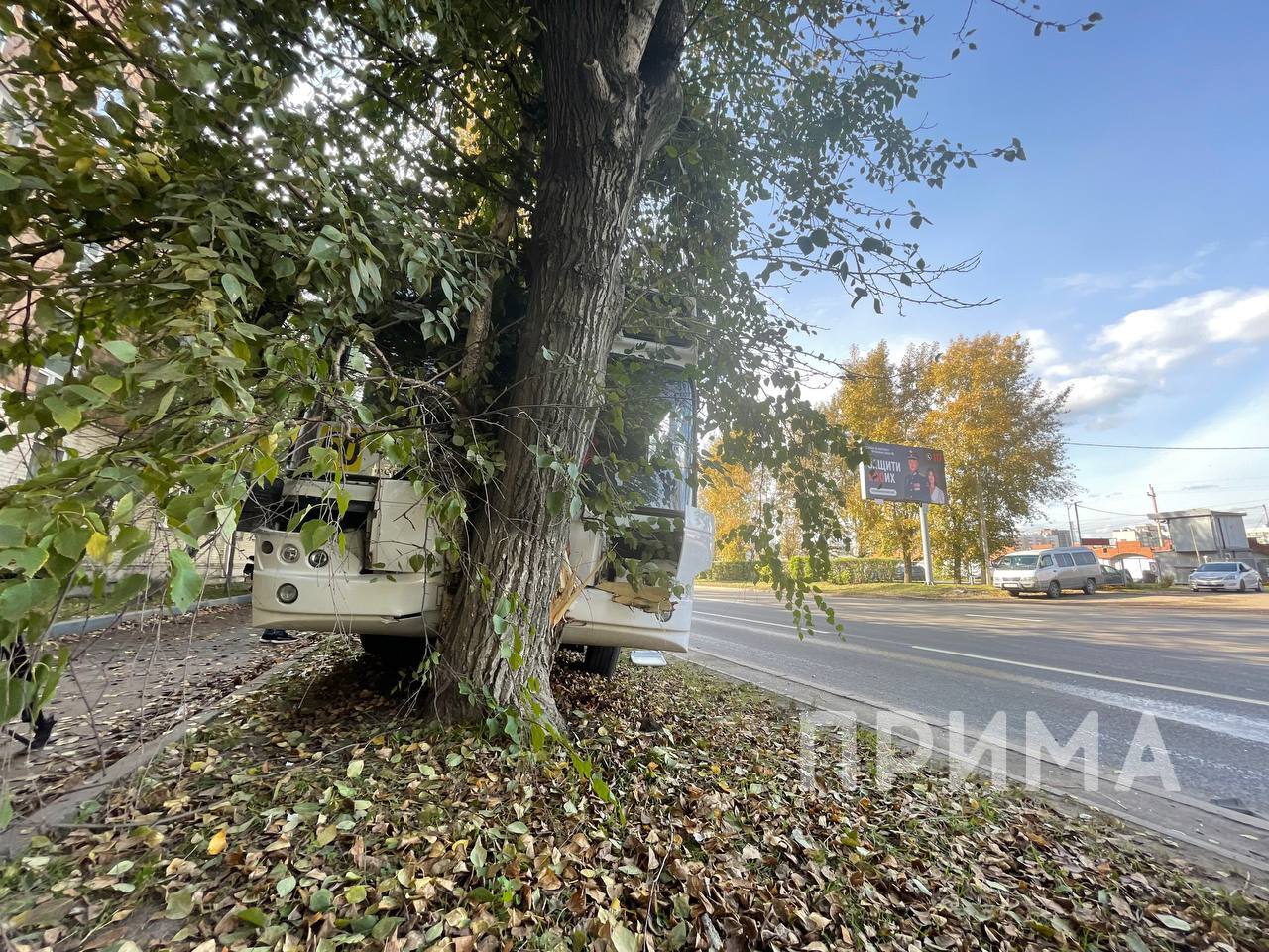 5359410009454279292_wm