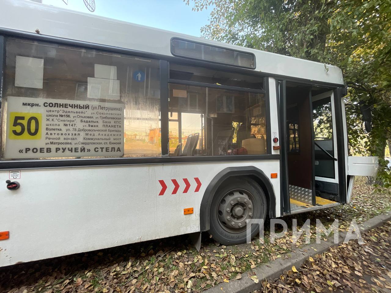 5359410009454279296_wm