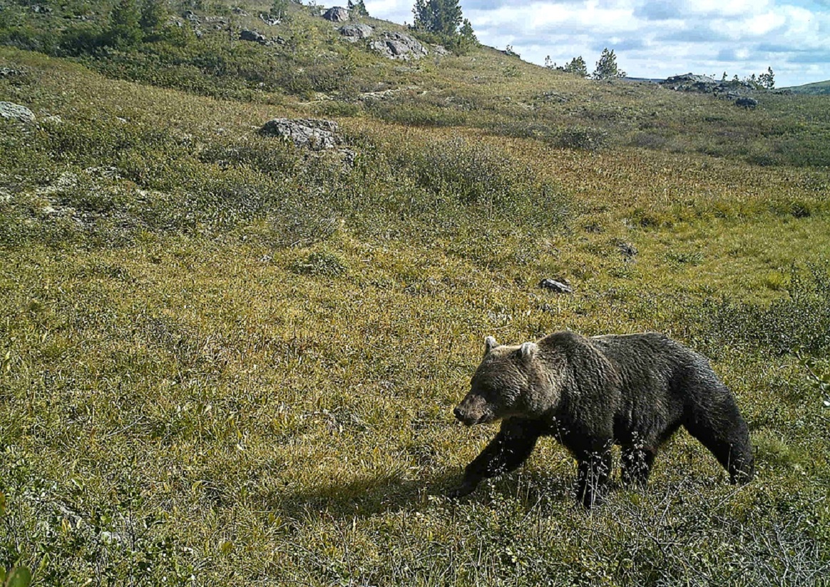 JaIGz6LPUy9v1WRE4IKfOcq6fLSfEa3ayf6bv_yPeY8EznRR8PXYWSjEZq_LjVz1ts2ygLcHhkLEFADSBZaCbDpR