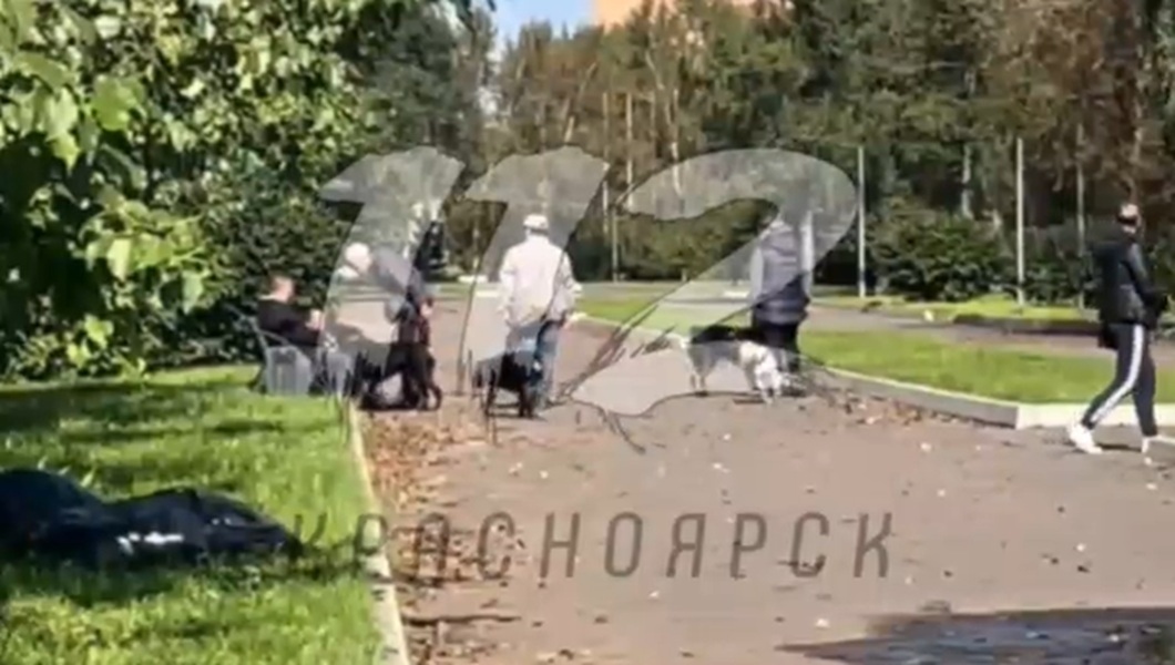 Snimok-ekrana-2025-09-08-113649