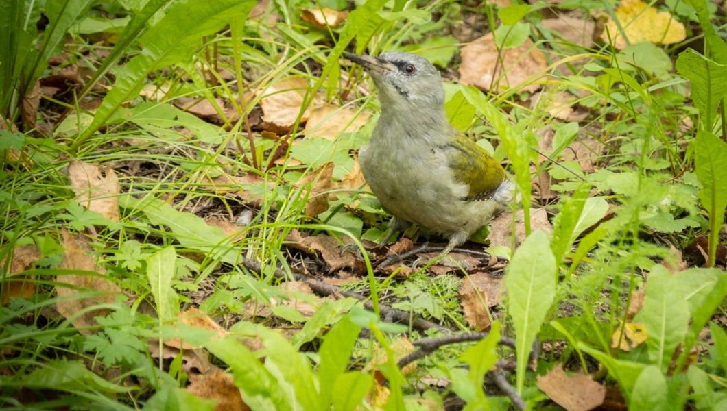 c6fc380f-368b-4d76-8ec1-c3ca33a1fd71