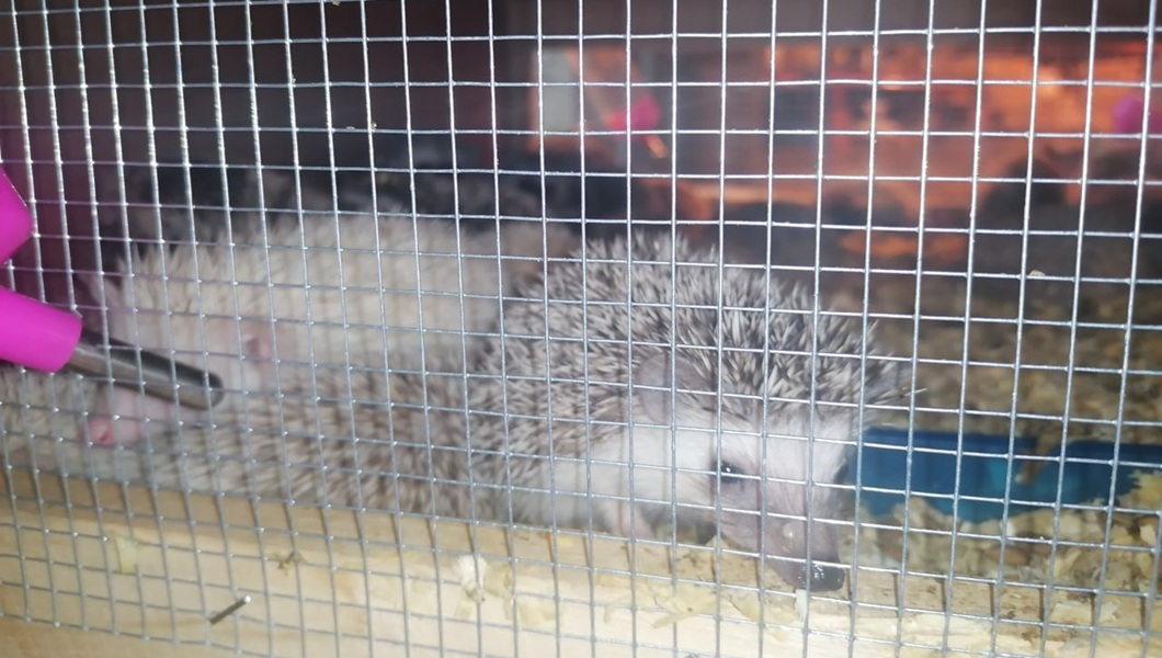 photo_2025-09-30_08-32-18