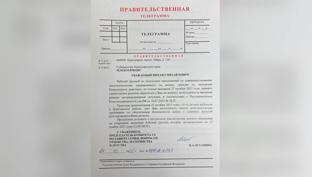 photo_2025-10-29_10-36-57