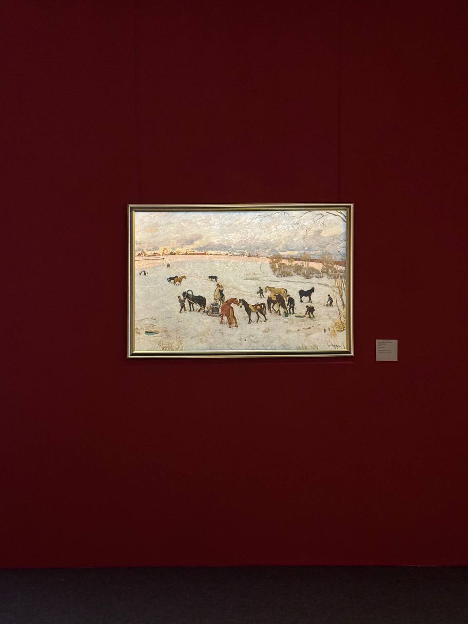 photo_5442693041686183151_y