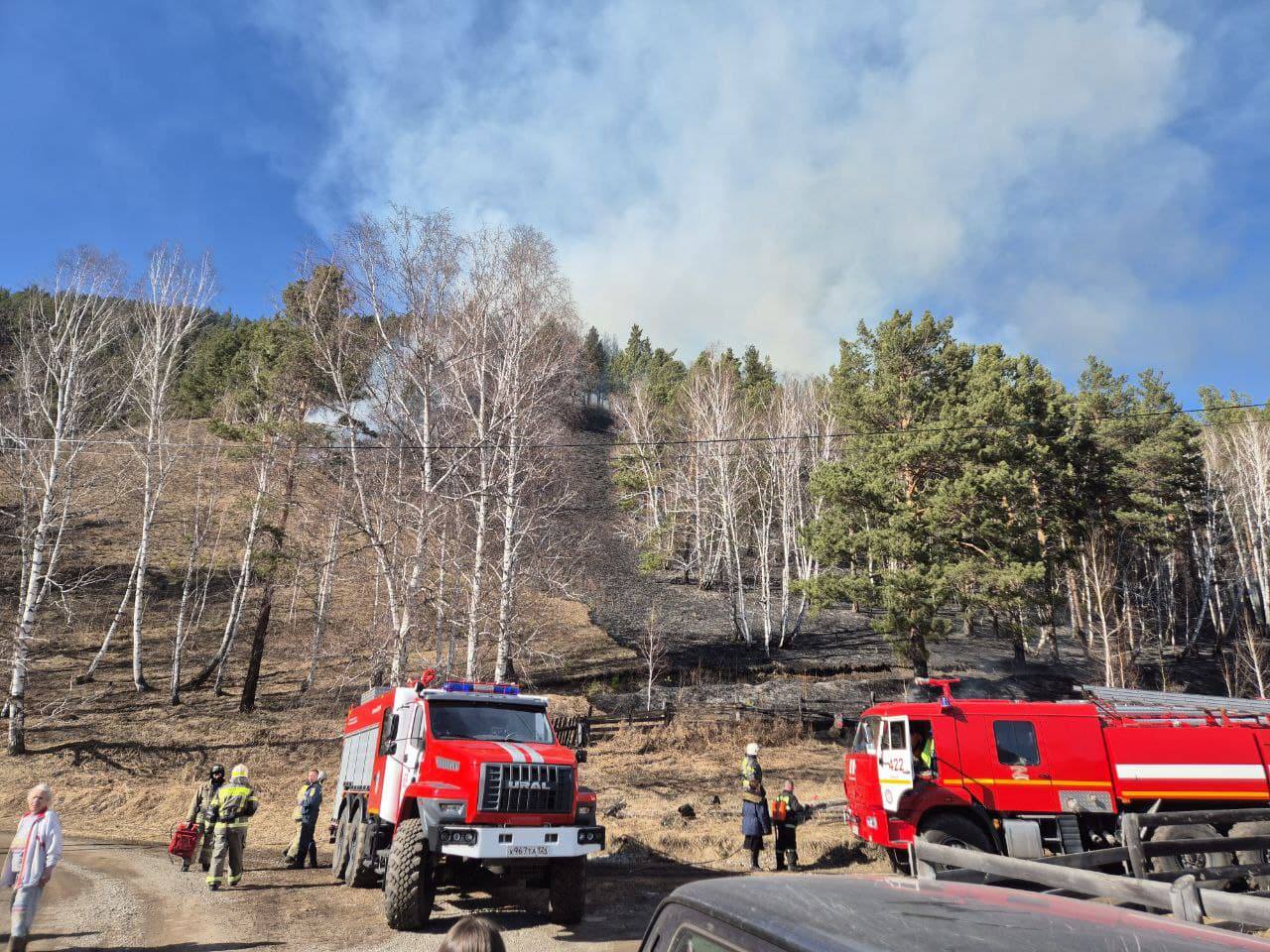 photo_5199429796302552562_y