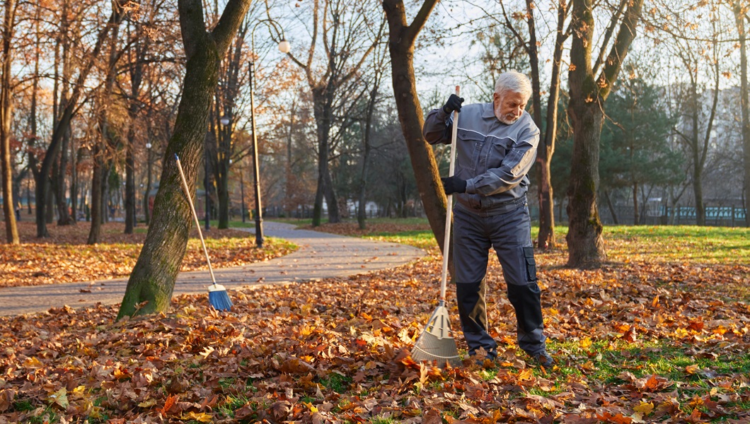 Senior worker using rake to gather fallen leaves in pile.
