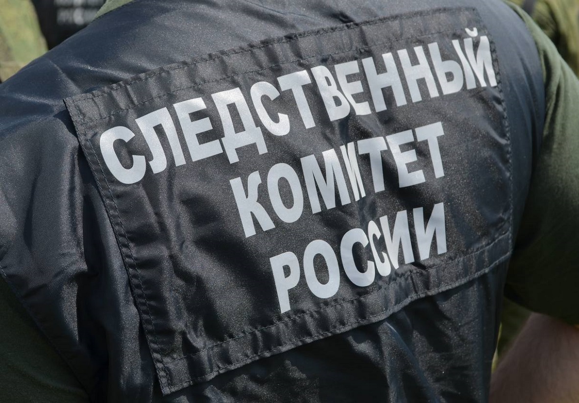 5328274378481329166-3