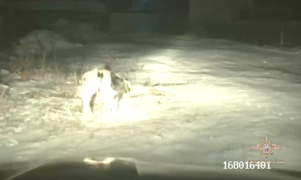 Snimok-ekrana-2025-12-27-v-14.00.51