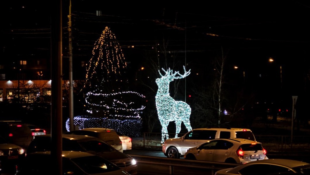Svetovoj-olen-na-Godenko-Kopylova-05.12.25