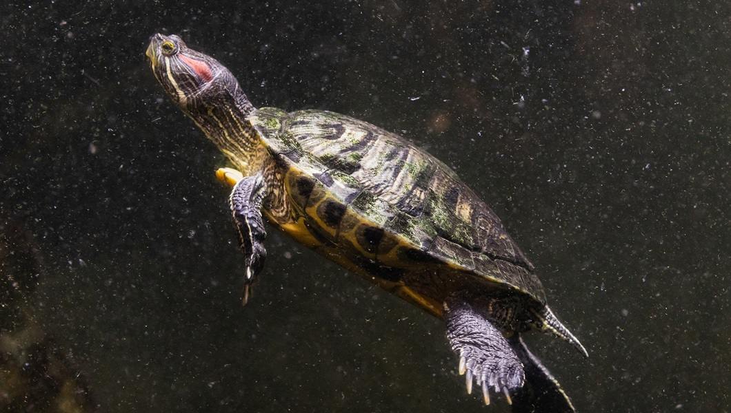 dWsXCyGg2h2wWKQuy4dVqgMpddB9ZVbLvtnuoPkSkSIhtqQkwoQ3q6tsYPmVEWhkUb49siBxS6grPNR2hqUqHj0x