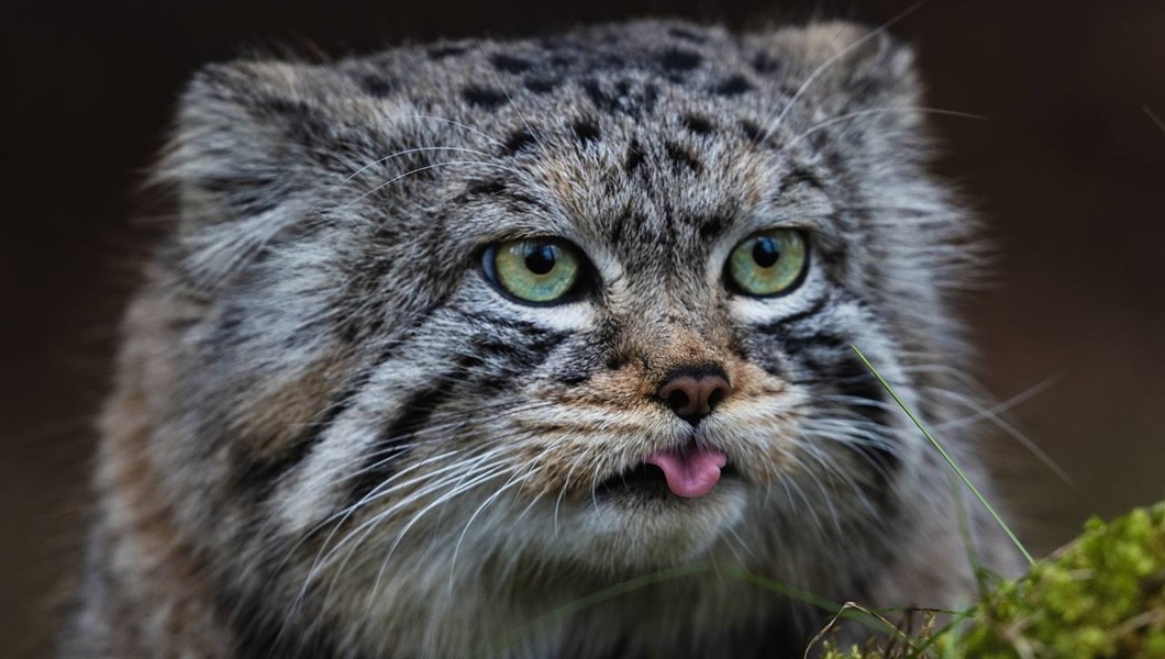 photo_2025-10-27_17-21-28