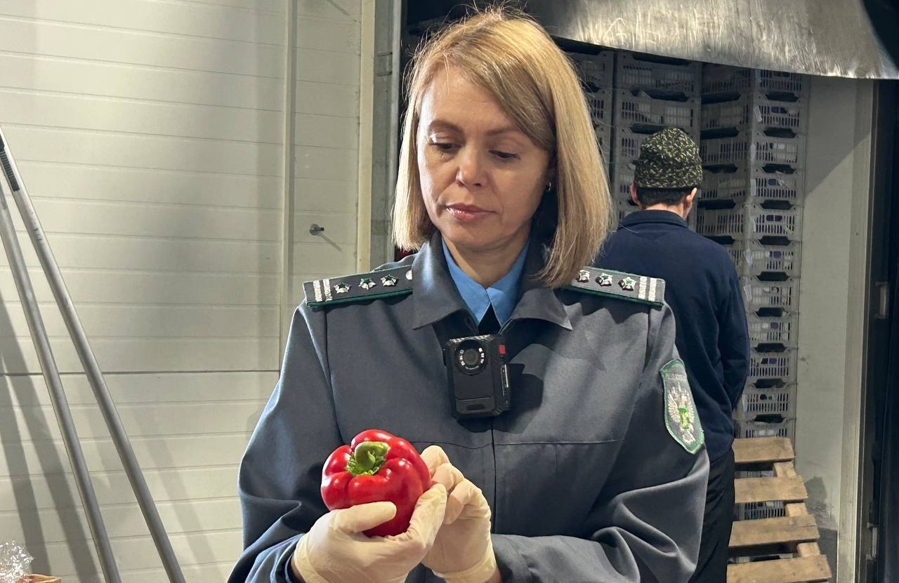 photo_2025-12-10_09-09-38