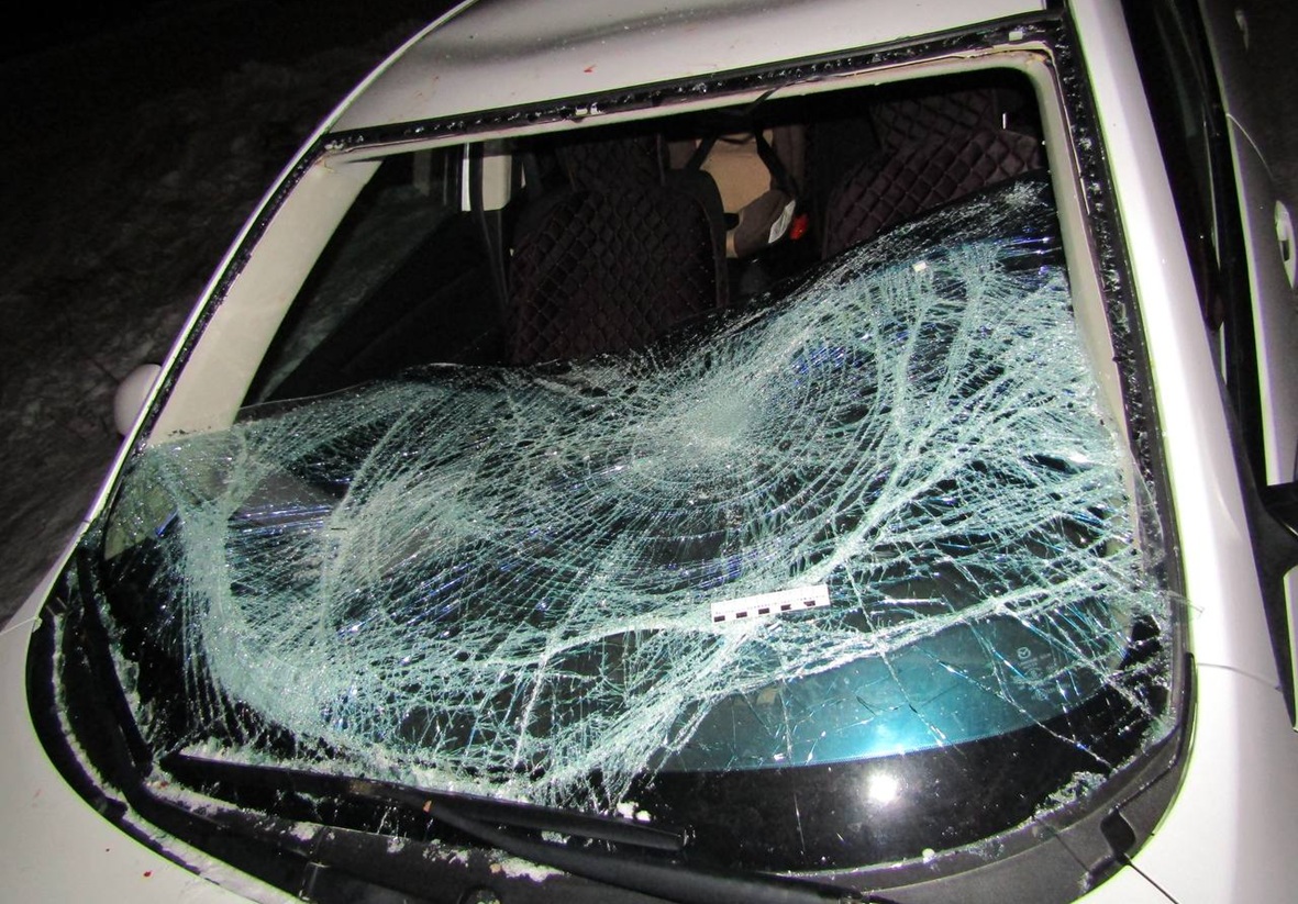 photo_2025-12-11_19-34-00