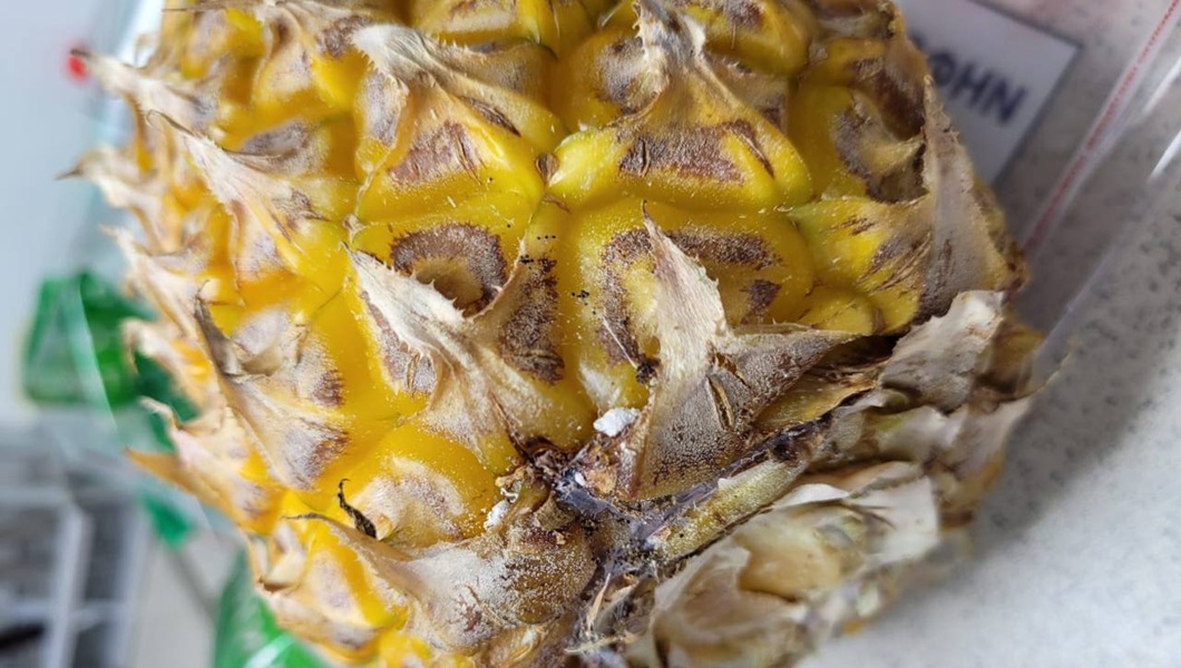 photo_2025-12-18_09-37-10