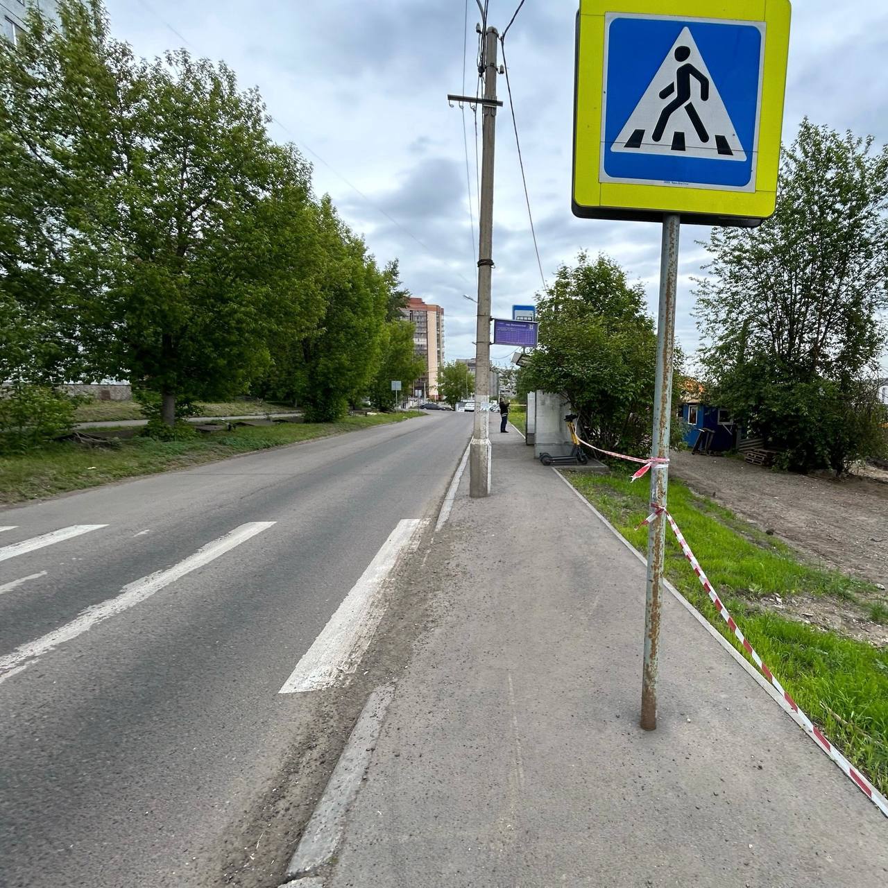 photo_5316959222719253310_y