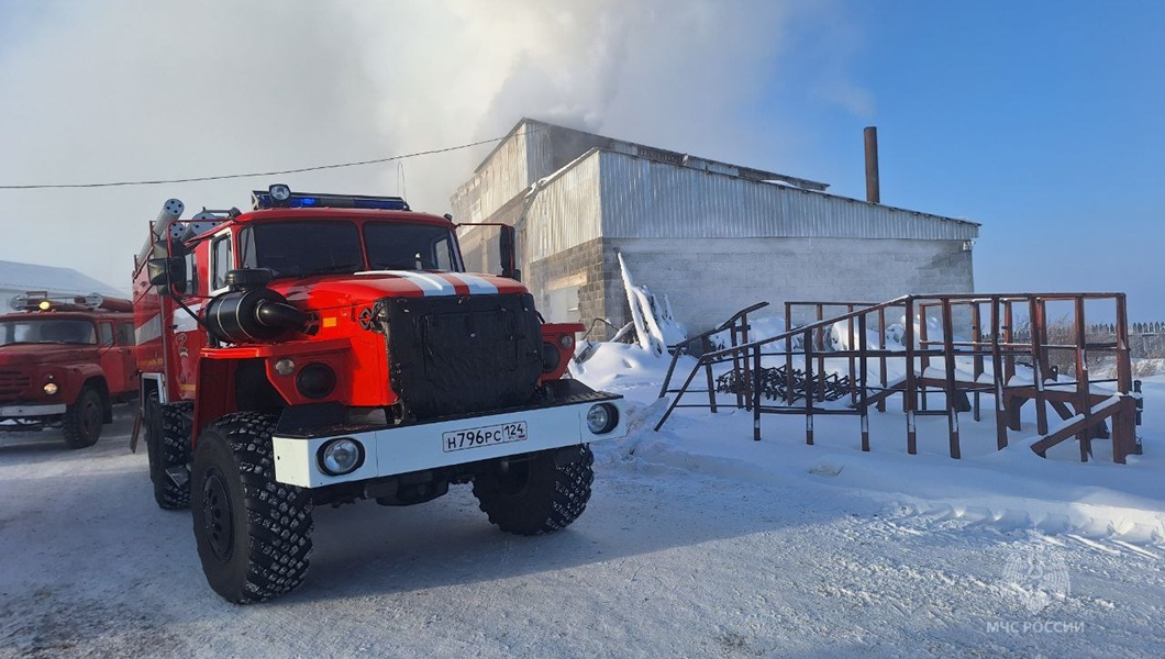 photo_2026-01-20_06-39-54