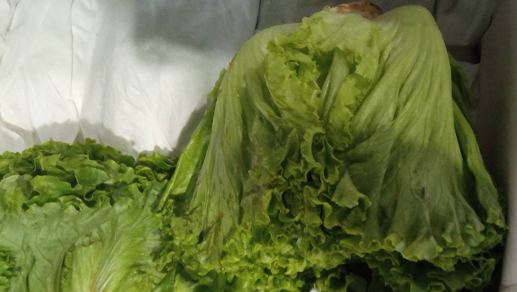 photo_2026-01-23_09-45-32