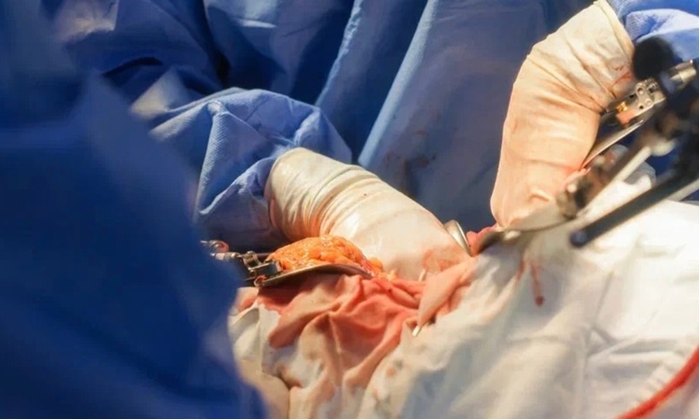 RVRwtr48lZSGI75_f5IAVVK4dv5KR4qUF1cG_0hnzuQH5V2iEyzVYMftnnaQDhjeJaOUVMptaZwAL_LrD3ujtAM