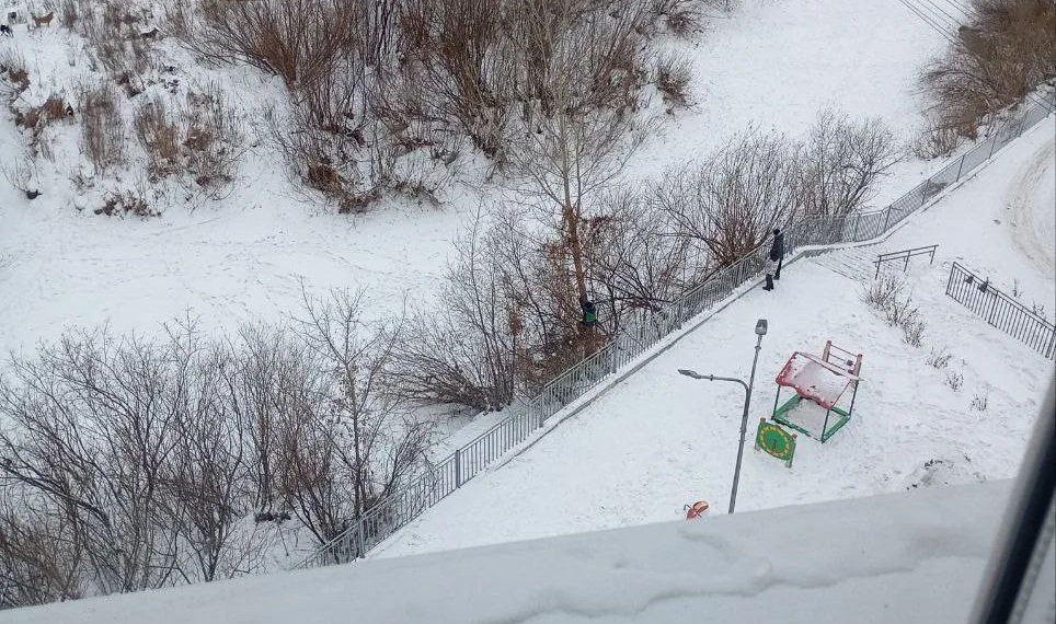 photo_2026-02-01_16-36-13