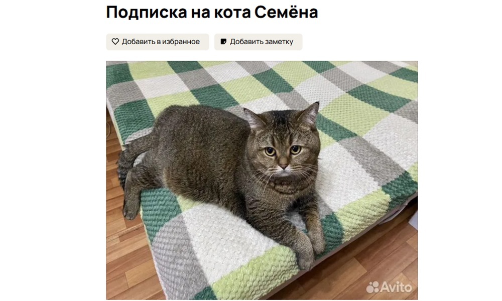 Snimok-ekrana-2026-03-04-105848