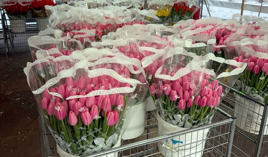 Tyulpany-03-26-TSentr-1-