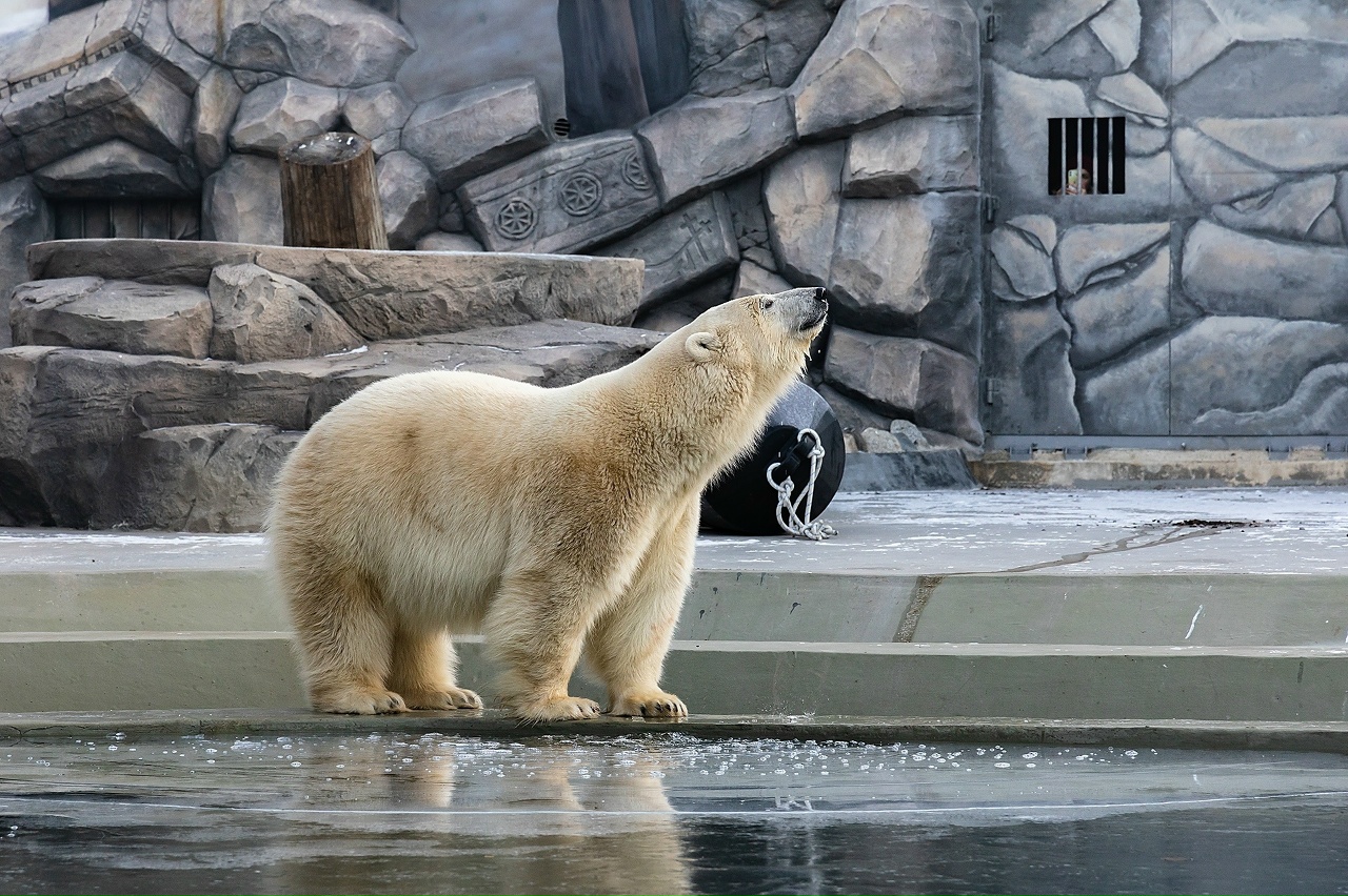 XjeaurLV56bgLE3rmtBtfRnvwfQk3dH_04yq9gdaWIRYz_rVjZe1kGz-YkrWZEgy_qYAPRWMP6SYNO7xruAq14KT