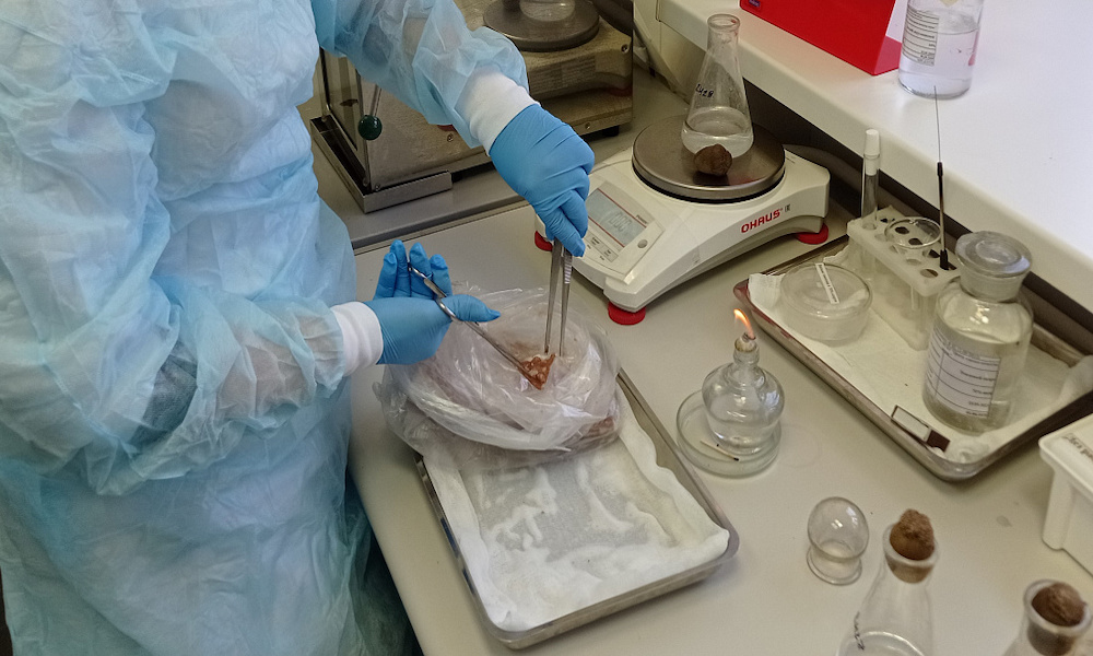 iogb75p0g37zn48b2m2cstjg68epbdde