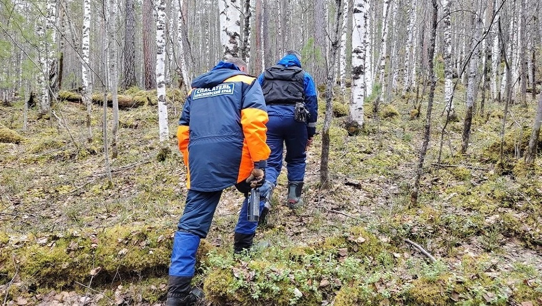 poiski-1
