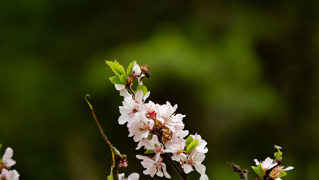 mintolime-wEAnECN2nQU-unsplash